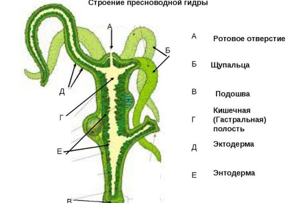 Кракен даркнет зайти