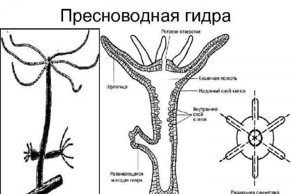 Даркнет зеркало