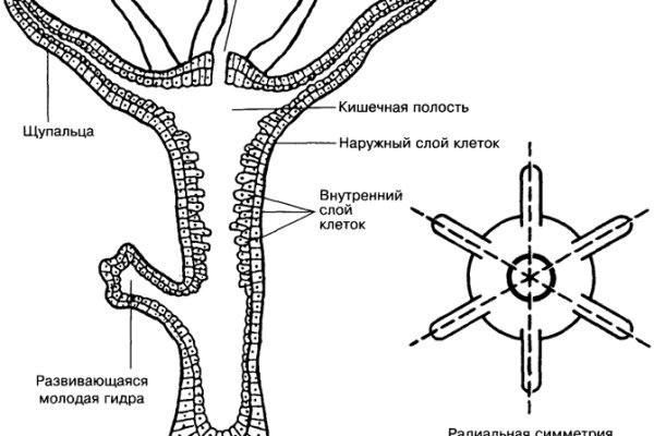 Купить героин в москве