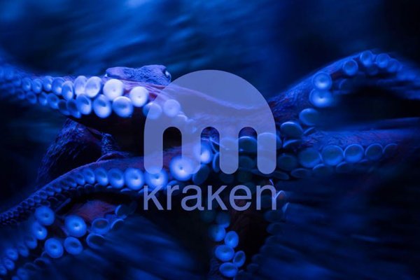 Кракен мониторинг ссылок kraken torion