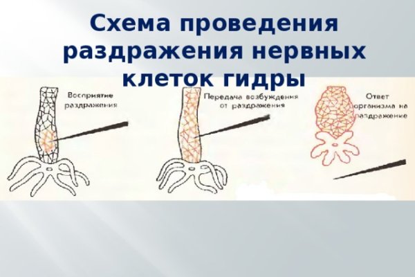 Что такое кракен тор
